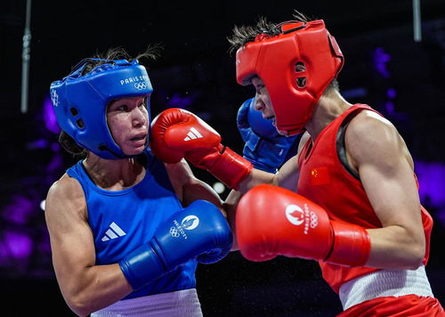 巴黎奧運(yùn)會(huì) 楊文璐晉級(jí)拳擊女子60公斤級(jí)四分之一決賽，展現(xiàn)賽事組織與競(jìng)技風(fēng)采
