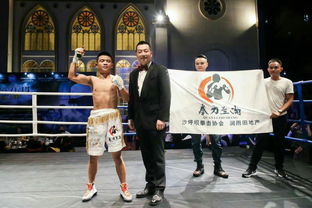 拳擊運(yùn)動(dòng)賽事組織 從策劃到執(zhí)行的全方位指南