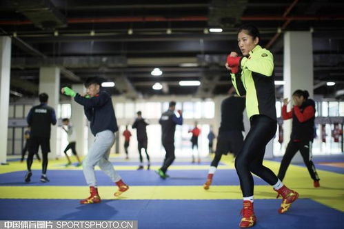 支部建在運動隊丨中國拳擊隊 以扎實黨建為奧運備戰注入強勁動能